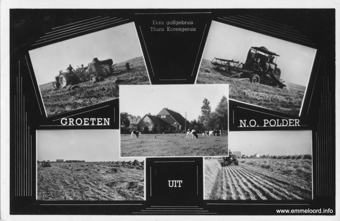 5-luik-streepjes-zw-1.jpg 5-luik-streepjes-zw-1.jpg